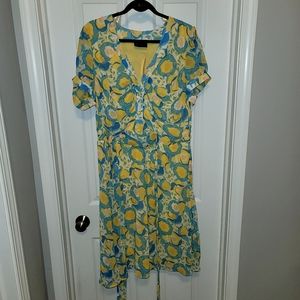 Torrid Women's Size 16 Dress